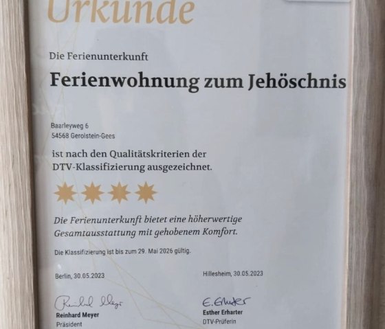 DTV-Klassifizierung DTV-Klassifizierung