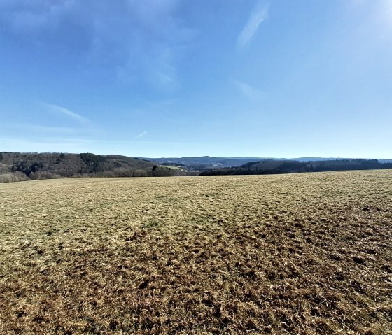 Weite Wiesenlandschaft mit sanften Hügeln im Hintergrund unter klarem, blauem Himmel. Die Sonne scheint hell., © Touristik GmbH Gerolsteiner Land, Ute Klinkhammer Weite Wiesenlandschaft mit sanften Hügeln im Hintergrund unter klarem, blauem Himmel. Die Sonne scheint hell., © Touristik GmbH Gerolsteiner Land, Ute Klinkhammer