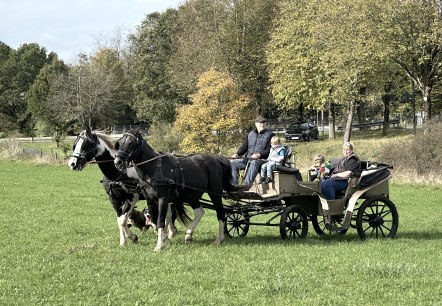 Koetsrit met het gezin over een weide.
, © Heinz Schend In een houten koets, getrokken door twee zwarte paarden, zitten twee volwassenen en twee kinderen en rijden over een weide.