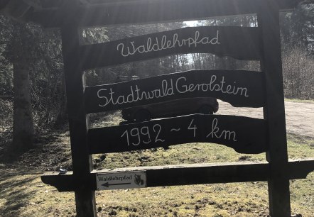 Die Starttafel für den Waldlehrpfad im Stadtwald Gerolstein., © Touristik GmbH Gerolsteiner Land,Leonie Post Die Starttafel für den Waldlehrpfad im Stadtwald Gerolstein., © Touristik GmbH Gerolsteiner Land,Leonie Post