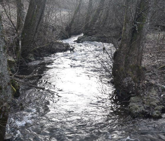 Winter impressions Winter impressions