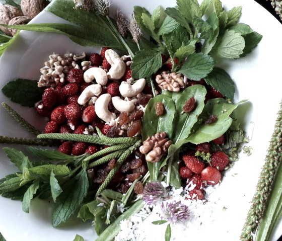 Wildkräuter Sammeln, © Andrea Häfele Wildkräuter Sammeln, © Andrea Häfele