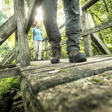 Zwei Wanderer auf einer Brücke mitten im Wald
, © Eifel Tourismus GmbH, Dominik Ketz Froschperspektive auf zwei Personen, die über eine Holzbrücke im Wald wandern.