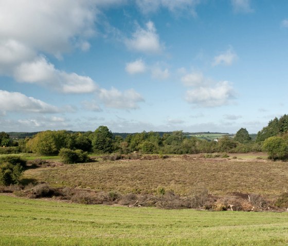 Strohn fairy tales on the Maare Trail, © Eifel Tourismus GmbH - D. Ketz Strohn fairy tales on the Maare Trail, © Eifel Tourismus GmbH - D. Ketz