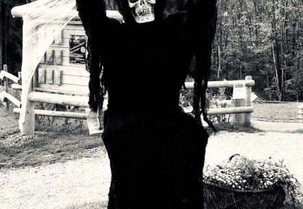 Halloween, © Saxler Halloween, © Saxler