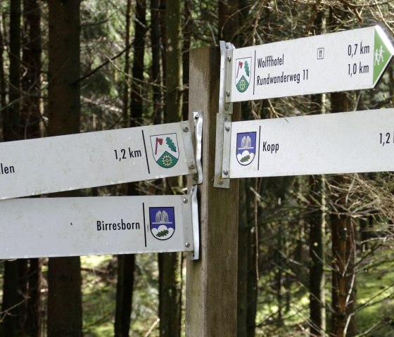 Wandern, © Tiemo Wolff Wandern, © Tiemo Wolff