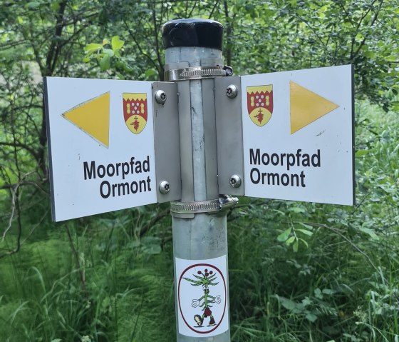 Wegwijzer met opschrift 'Moorpfad Ormont' in een groene bosrijke omgeving. Twee borden wijzen in tegengestelde richting., © Touristik GmbH Gerolsteiner Land Wegwijzer met opschrift 'Moorpfad Ormont' in een groene bosrijke omgeving. Twee borden wijzen in tegengestelde richting., © Touristik GmbH Gerolsteiner Land