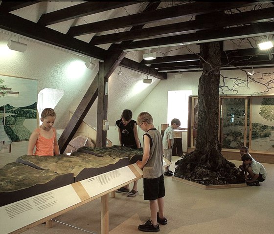 Innenansicht, © Touristik GmbH Gerolsteiner Land Innenansicht, © Touristik GmbH Gerolsteiner Land