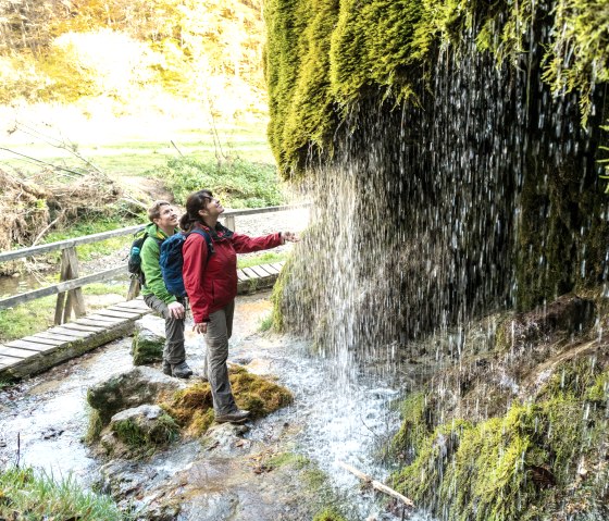Zwei Personen stehen vor dem moosbedeckten Wasserfall in der Waldlandschaft.
, © Eifel Tourismus GmbH, Dominik Ketz Zwei Personen betrachten den moosbedeckten Wasserfall in der grünen Waldlandschaft. Ein Holzsteg führt über den Bach.