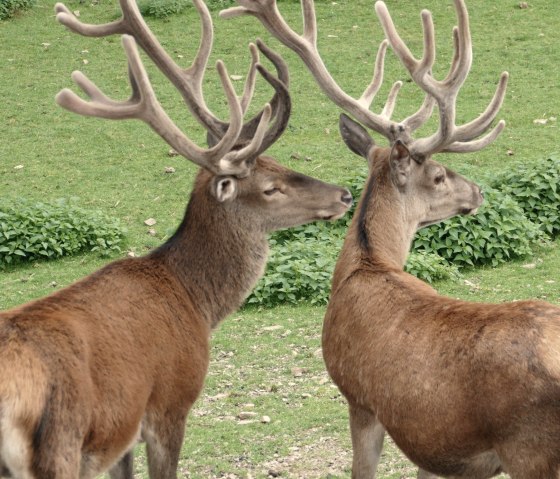 Natur, © Tiemo Wolff Natur, © Tiemo Wolff