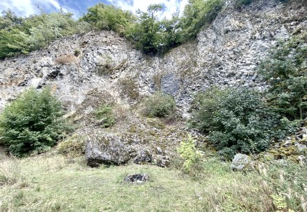 Stenige rotswand in de vulkaan Arensberg met weelderig groen en bomen op de top. Op de voorgrond zijn gras en wat struiken te zien., © Touristik GmbH Gerolsteiner Land, Leonie Post Stenige rotswand in de vulkaan Arensberg met weelderig groen en bomen op de top. Op de voorgrond zijn gras en wat struiken te zien., © Touristik GmbH Gerolsteiner Land, Leonie Post