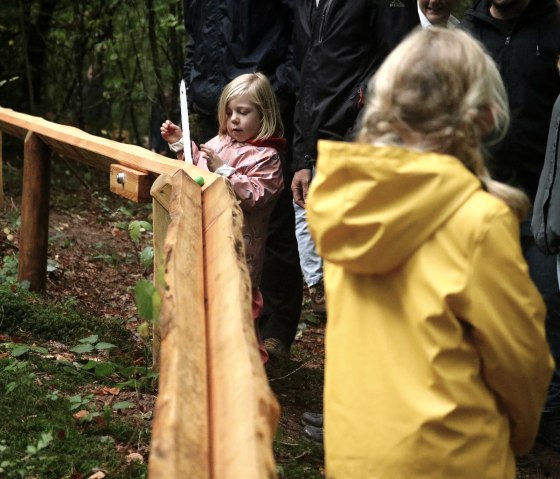 Waldkugelbahn, © Thomas Langens Waldkugelbahn, © Thomas Langens