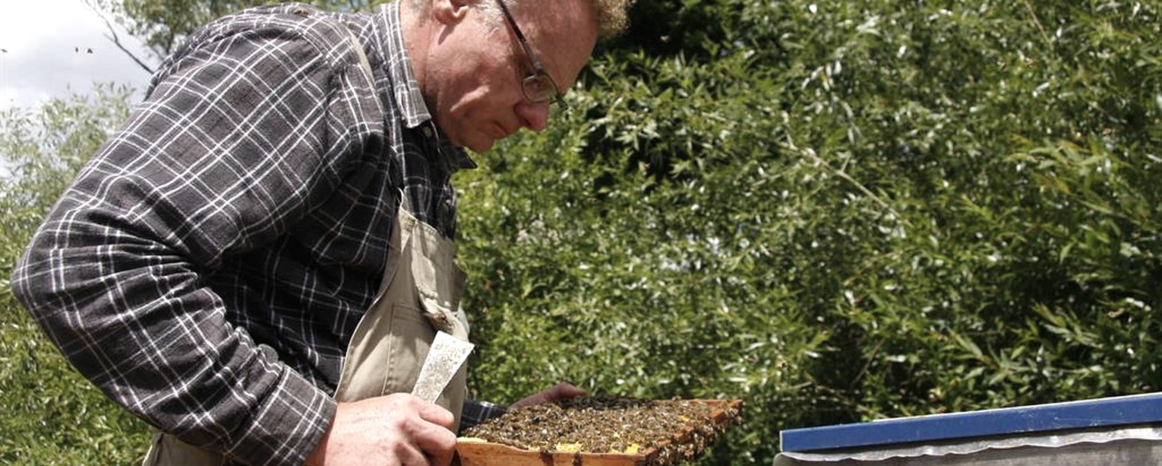 Imker Körsten, © Körsten Imker Körsten, © Körsten