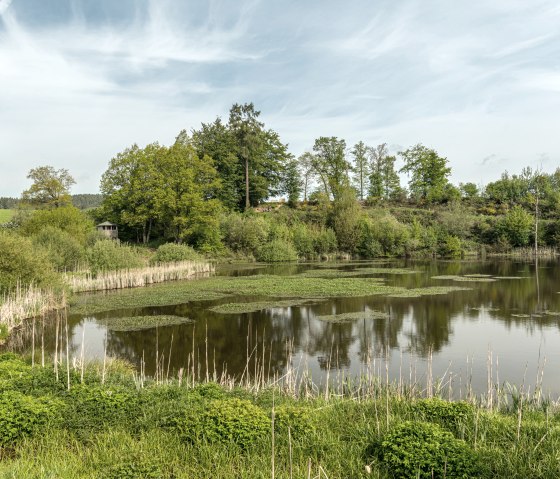 Ein idyllischer See mit grüner Vegetation und einem bewölkten Himmel. Im Hintergrund sind Bäume und ein kleiner Unterstand zu sehen., © Eifel Tourismus GmbH, Dominik Ketz Ein idyllischer See mit grüner Vegetation und einem bewölkten Himmel. Im Hintergrund sind Bäume und ein kleiner Unterstand zu sehen., © Eifel Tourismus GmbH, Dominik Ketz
