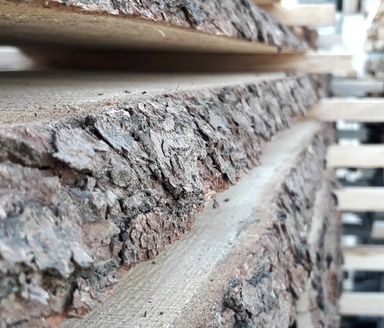 Stamm mit Rinde Stamm mit Rinde