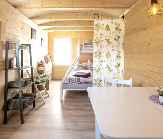 ET-2023-198-Adler & Wolfspark Kasselburg, Pelm-©Ei ET-2023-198-Adler & Wolfspark Kasselburg, Pelm-©Ei