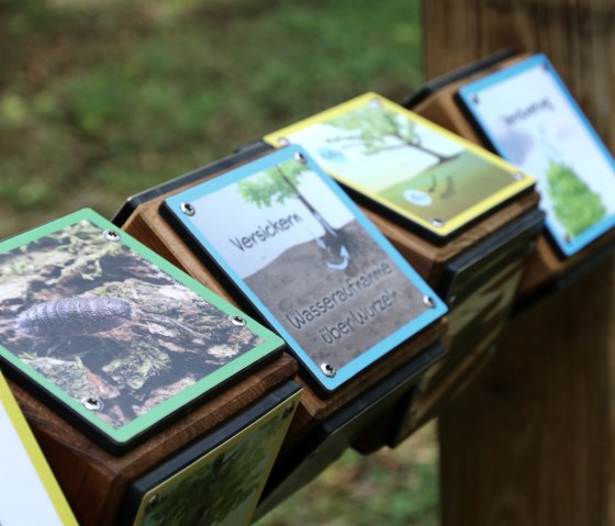 Drehwürfel Lernstation, © Thomas Langens Drehwürfel Lernstation, © Thomas Langens