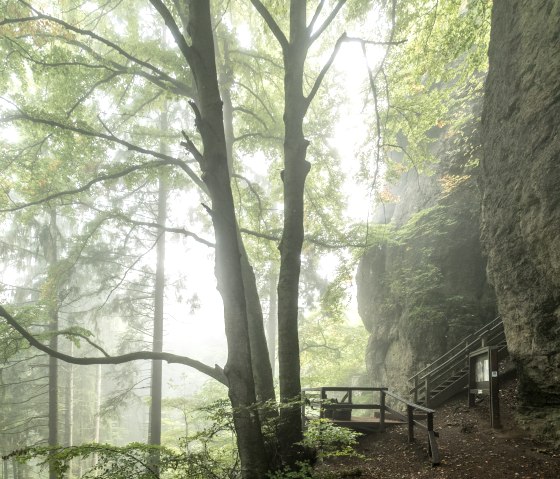 A misty forest with tall trees and a path leading to a cave. A wooden railing and an information board are visible., © Eifel Tourismus GmbH, Dominik Ketz A misty forest with tall trees and a path leading to a cave. A wooden railing and an information board are visible., © Eifel Tourismus GmbH, Dominik Ketz