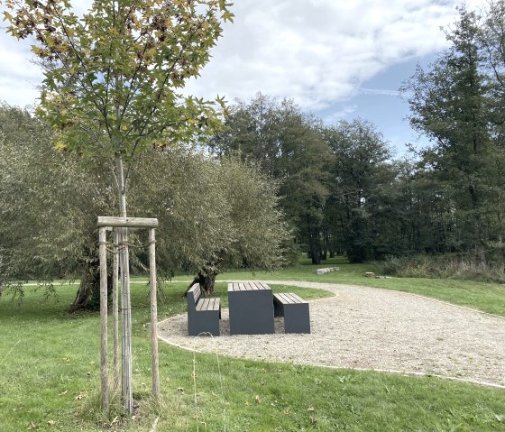 Rastplatz im Kurpark Stadtkyll
, © Touristik GmbH Gerolsteiner Land Tisch und Sitzbänke am Rand eines barrierefreien Spazierweges in einer Parkanlage.