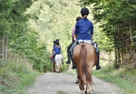 Horse riding trip in the Eifel
, © Pixabay Four horses are walking at a distance behind each other on a gravel forest path. Each horse is carrying one or two people in riding clothes.