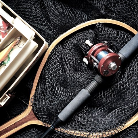 Angeln, © pixabay Angeln, © pixabay