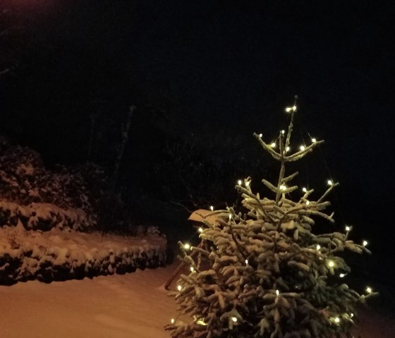 Advent, © Severa Faber Advent, © Severa Faber