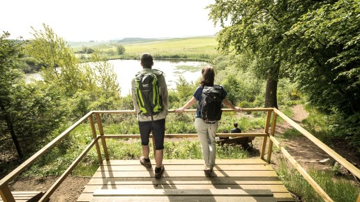 ET-2019-354-Vulcanpfad, Eichholzmaar ©, © Eifel Tourismus GmbH, Dominik Ketz ET-2019-354-Vulcanpfad, Eichholzmaar ©, © Eifel Tourismus GmbH, Dominik Ketz