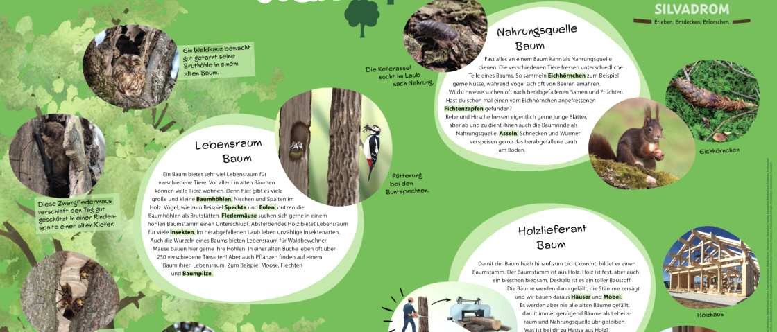 Large information sign about "Trees in the Forest"., © hochkant Large information sign about "Trees in the Forest" with information about tree habitat, tree food source, and tree wood supplier.