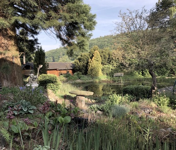 Natur-Schwimmteich Natur-Schwimmteich