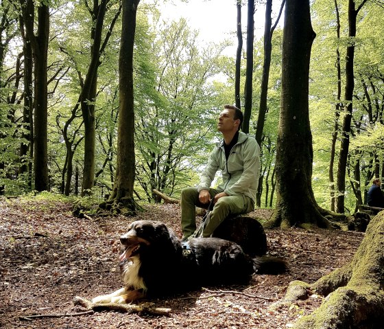 Hund und Herrchen macht Rast im Wald.
, © Nicole Baller/TW Gerolsteiner Land GmbH Ein Hund liegt neben seinem Herrchen auf dem Waldboden. Der Mann sitzt auf einem Baumstumpf und beide schauen in den Wald.