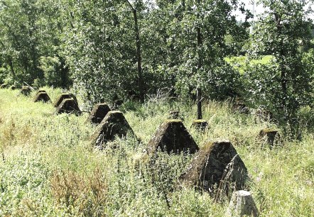 Westwall (1) Westwall (1)