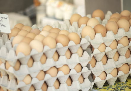 Eierverkauf, © canva Eierverkauf, © canva