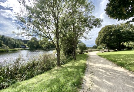 Ein sonniger Weg im Bolsdorfer Tälchen führt an dem See vorbei, umgeben von grünen Bäumen und Gras. Der Himmel ist teils bewölkt., © Touristik GmbH Gerolsteiner Land Ein sonniger Weg im Bolsdorfer Tälchen führt an dem See vorbei, umgeben von grünen Bäumen und Gras. Der Himmel ist teils bewölkt., © Touristik GmbH Gerolsteiner Land