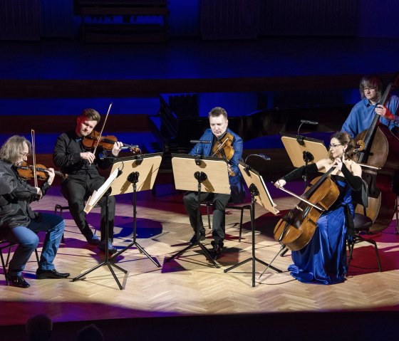 Die Schlesischen Kammersolisten beim Musizieren, © Soldan 5 Personen an Streichinstrumenten auf einer Bühne in einem schwach beleuchteten Saal.