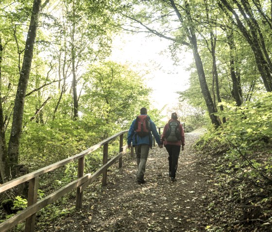 Twee mensen lopen over een bospad in de Eifel. Ze dragen rugzakken en zijn omringd door groene bomen. De zon schijnt door het bladerdak., © Eifel Tourismus GmbH, Dominik Ketz Twee mensen lopen over een bospad in de Eifel. Ze dragen rugzakken en zijn omringd door groene bomen. De zon schijnt door het bladerdak., © Eifel Tourismus GmbH, Dominik Ketz