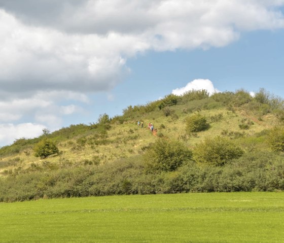 Wandelgroep op een groene heuvel, omringd door struiken en bomen, onder een blauwe lucht met wolken., © Thomas Hendele Wandelgroep op een groene heuvel, omringd door struiken en bomen, onder een blauwe lucht met wolken., © Thomas Hendele