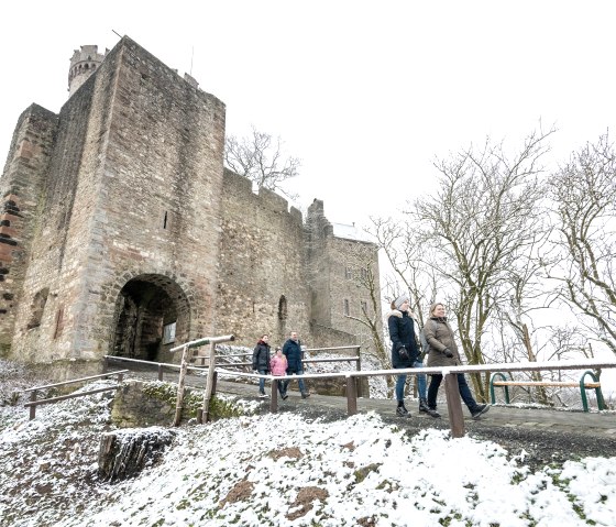 Adler-_und_Wolfspark_Kasselburg, © Eifel Tourismus GmbH, Dominik Ketz Adler-_und_Wolfspark_Kasselburg, © Eifel Tourismus GmbH, Dominik Ketz