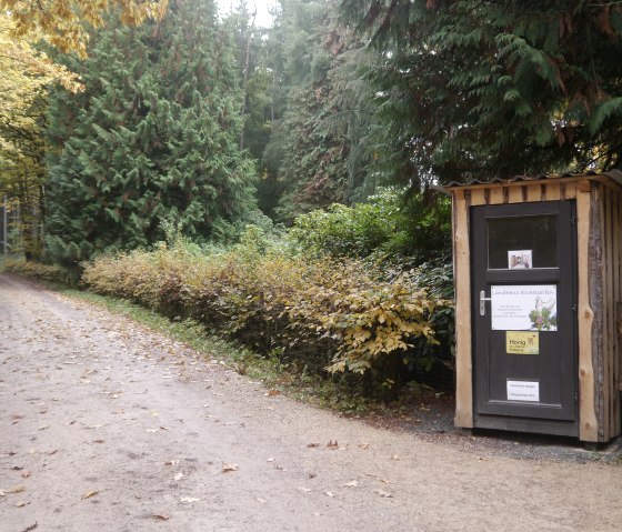 The sales hut at Landhaus Eichelseifen on the edge of the forest.
, © Touristik GmbH Gerolsteiner Land Small wooden sales hut on the edge of the forest.