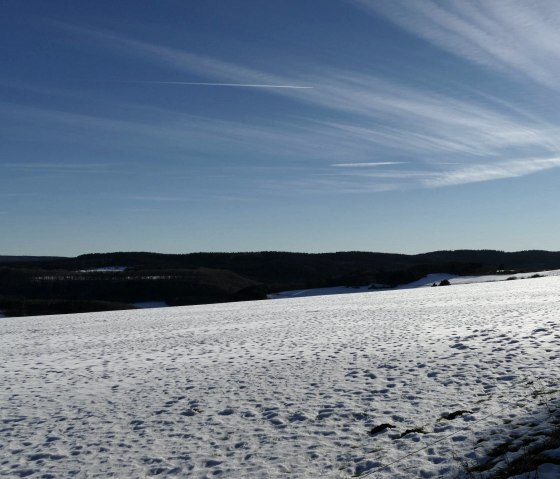 Winter, © Tiemo Wolff Winter, © Tiemo Wolff