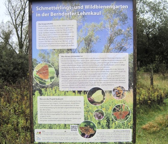 Informatiebord over vlinder- en wilde bijentuinen in de Berndorfer Lehmkaul met teksten en foto's van insecten., © Touristik GmbH Gerolsteiner Land, Ute Klinkhammer Informatiebord over vlinder- en wilde bijentuinen in de Berndorfer Lehmkaul met teksten en foto's van insecten., © Touristik GmbH Gerolsteiner Land, Ute Klinkhammer