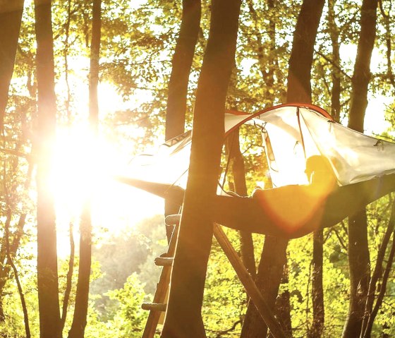 Eifel Adventures Zelt (2), © EifelAdventures, Elmar Saxler Eifel Adventures Zelt (2), © EifelAdventures, Elmar Saxler