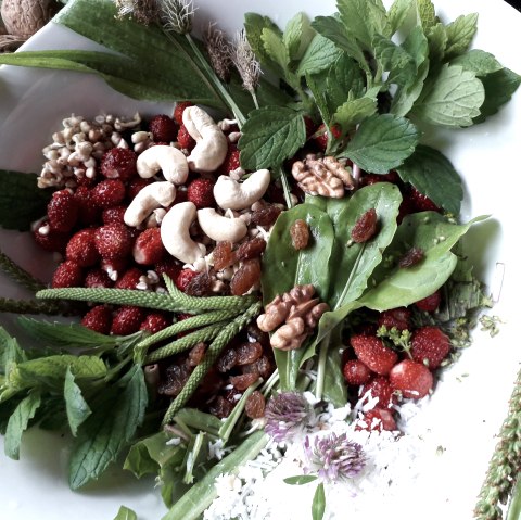 Wildkräutergericht, © Andrea Häfele Wildkräutergericht, © Andrea Häfele