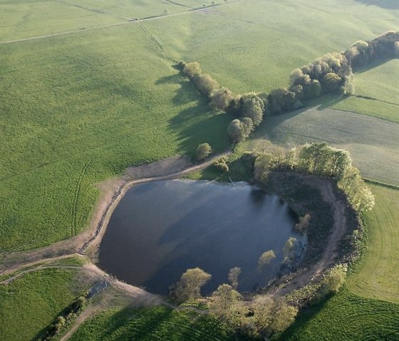 Luftbild Eichholzmaar, © H. Gassen Luftbild Eichholzmaar, © H. Gassen