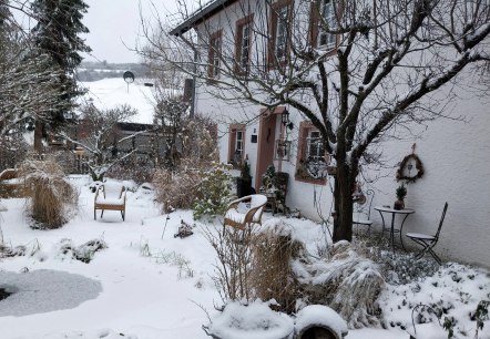 1000019115 1000019115