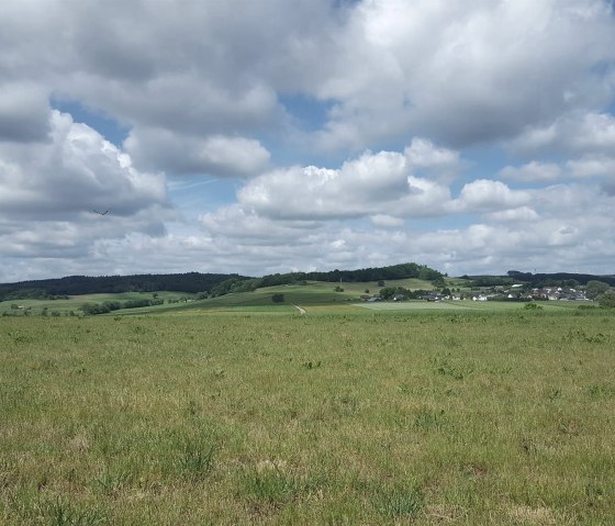 Richtung Aueler Drees, © Touristik GmbH Gerolsteiner Land Richtung Aueler Drees, © Touristik GmbH Gerolsteiner Land