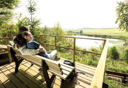 Eichholzmaar (3), © Eifel Tourismus GmbH, Dominik Ketz Eichholzmaar (3), © Eifel Tourismus GmbH, Dominik Ketz