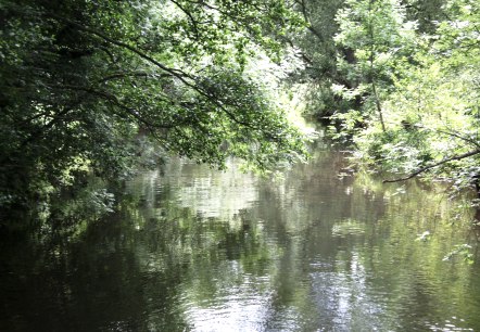 Kyll, © Touristik GmbH Gerolsteiner Land Kyll, © Touristik GmbH Gerolsteiner Land