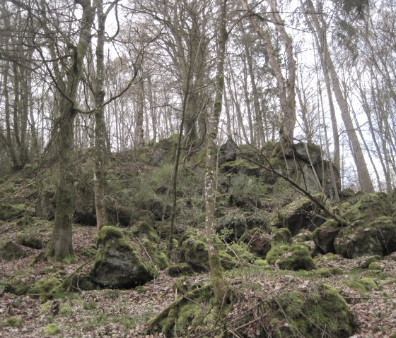 Ein bewaldeter Hang mit moosbedeckten Felsen und kahlen Bäumen im Winter., © Touristik GmbH Gerolsteiner Land, Ute Klinkhammer Ein bewaldeter Hang mit moosbedeckten Felsen und kahlen Bäumen im Winter., © Touristik GmbH Gerolsteiner Land, Ute Klinkhammer