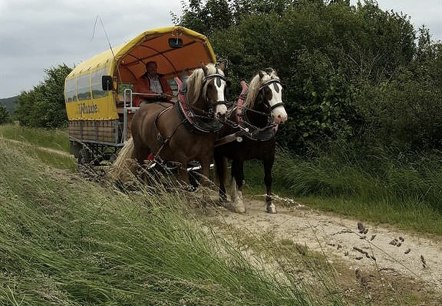 Planwagenfahrt Eifelkutsche (2), © Barger Planwagenfahrt Eifelkutsche (2), © Barger