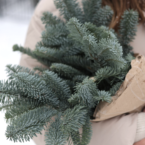 Adventskranz, © canva Adventskranz, © canva